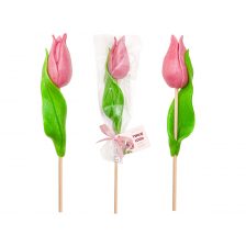Tulip Lollipop 3D 11.09