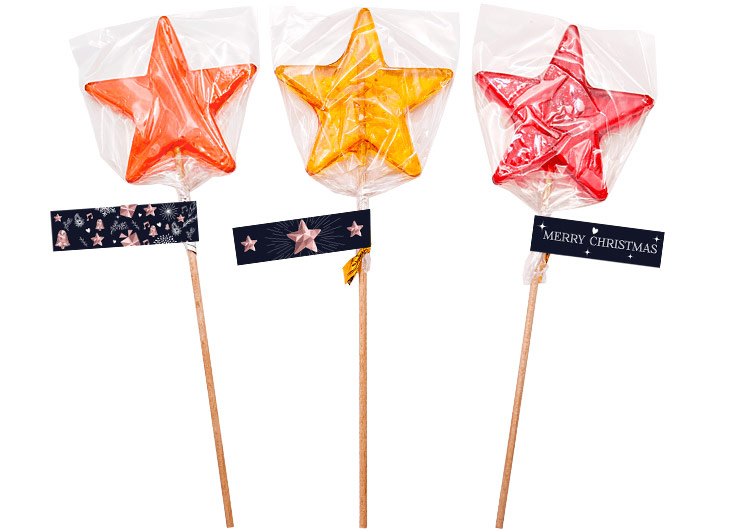 LIZAK GWIAZDKA - obrazek 2