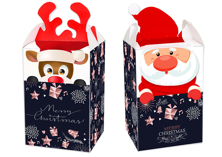 MINI CHRISTMAS PACKAGE - Image 6