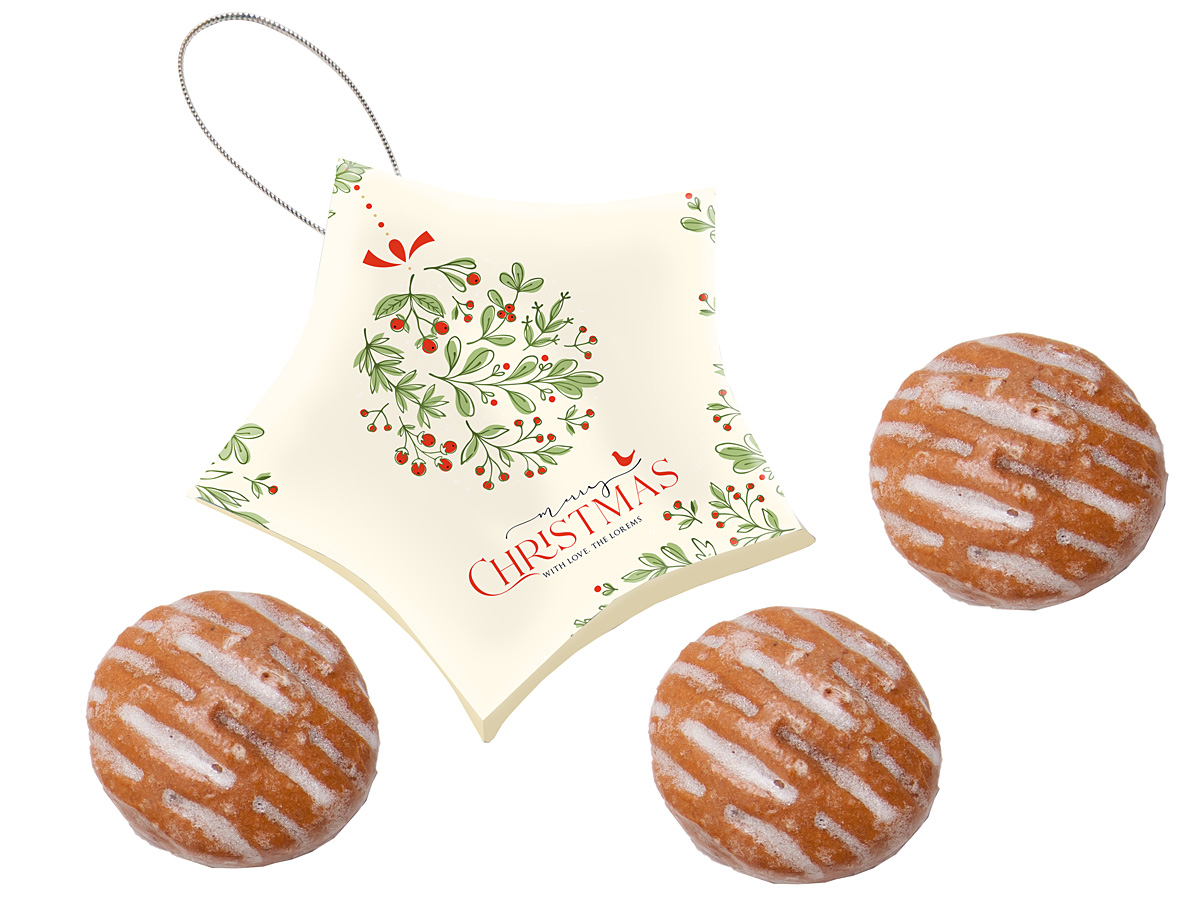 ŚWIĄTECZNA GWIAZDKA - obrazek 10