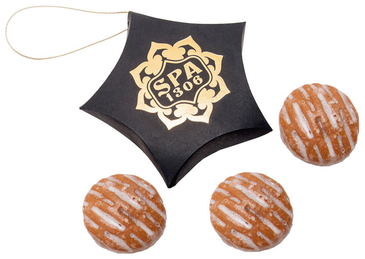 ŚWIĄTECZNA GWIAZDKA - obrazek 2