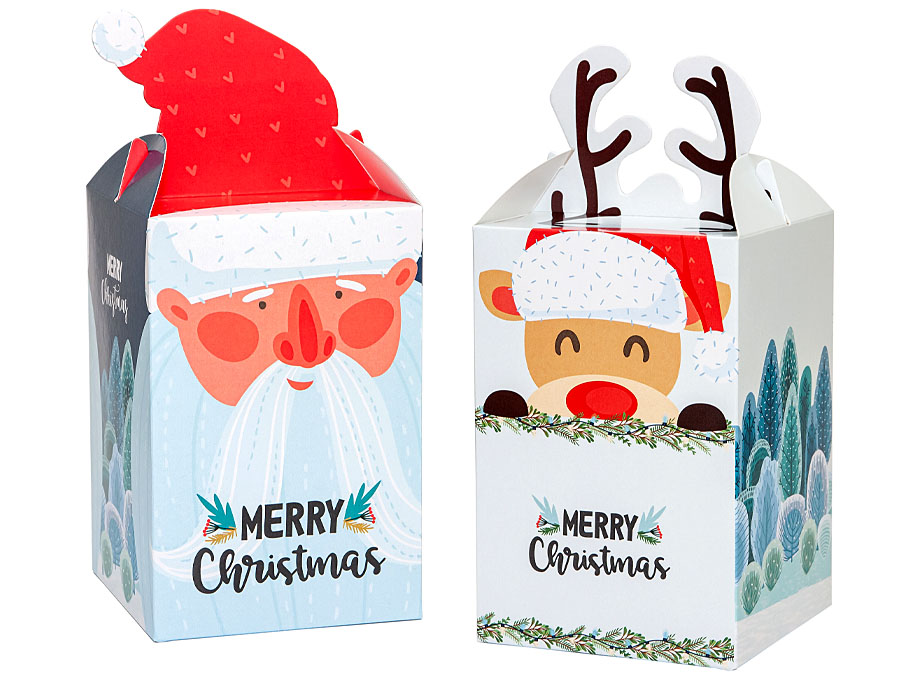 MINI CHRISTMAS PACKAGE - Image 8