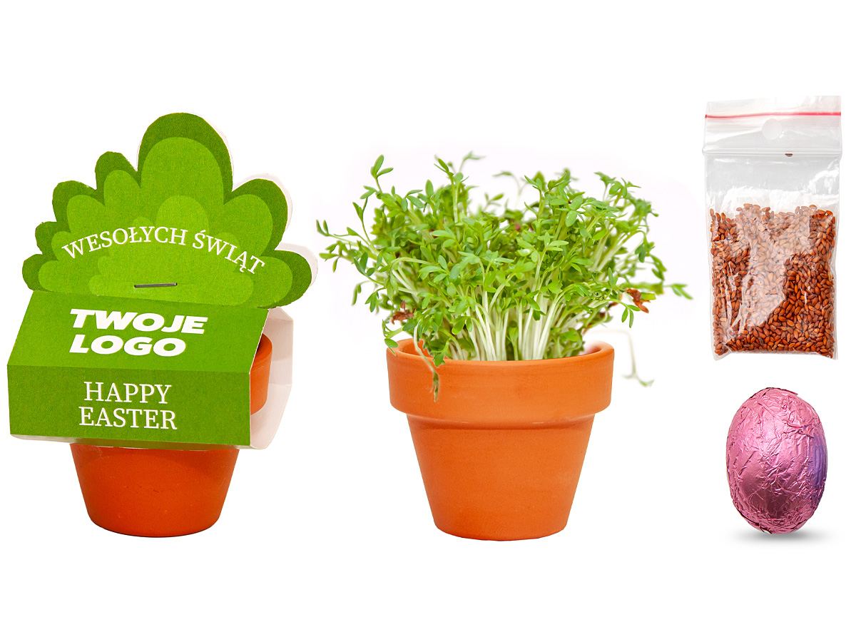 MINI DONICZKA - obrazek 3